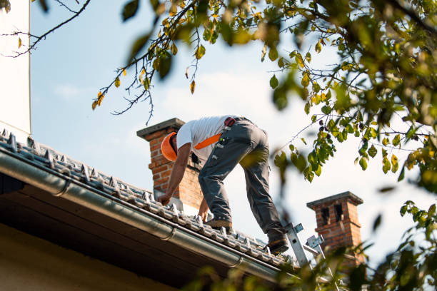 Roof Gutter Cleaning in Ladera, CA