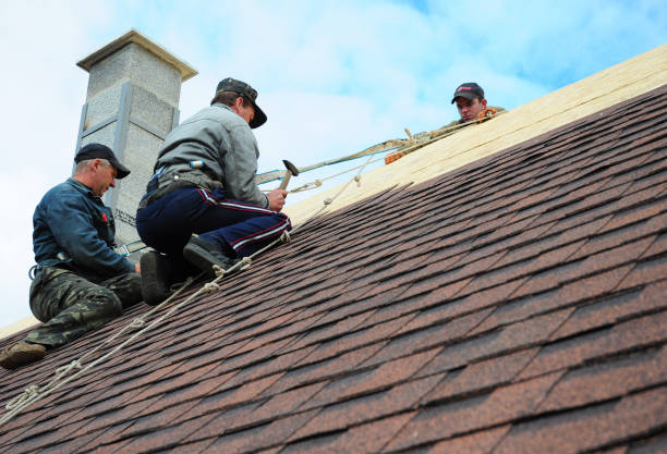 Best Roof Gutter Cleaning  in Ladera, CA